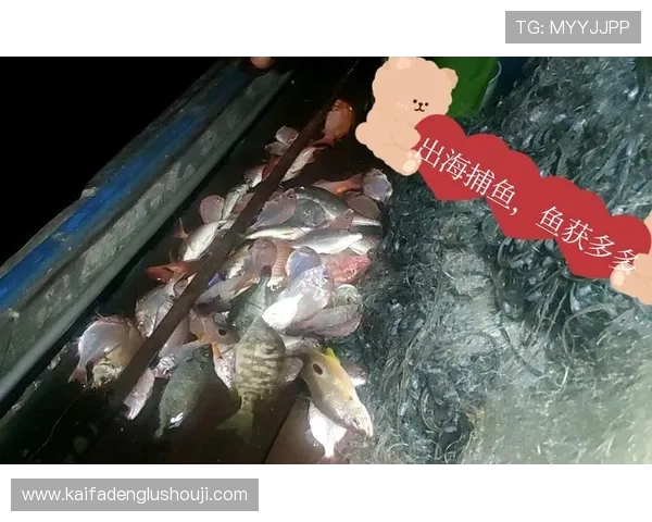 K8捕鱼王攻略：如何利用游戏内技巧提升捕鱼成功率的实用建议