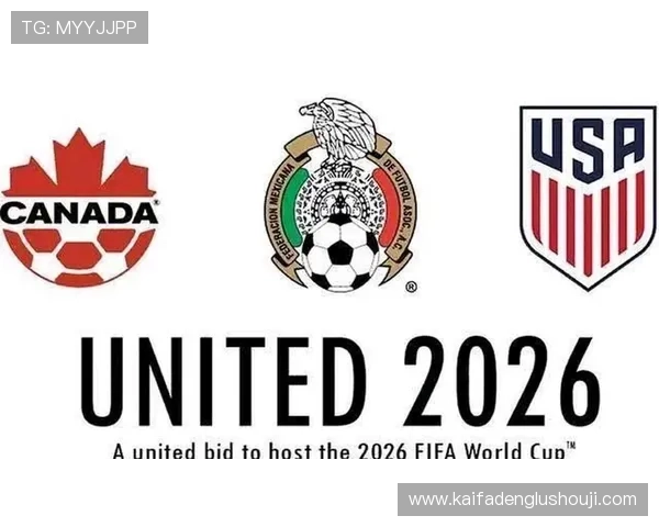 2026年世界杯官方授权商背后的商业合作机制与行业影响力分析