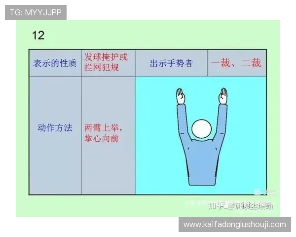 世界杯比利时埃及比赛中伤停补时的常见争议与裁判判罚规则解析